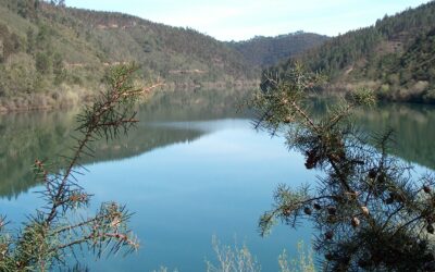 Notícia Tipo para exemplo